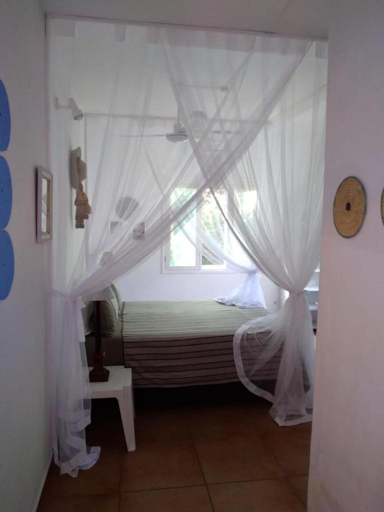 Вилла Ilha Azul House Понта-ду-Оуро Экстерьер фото